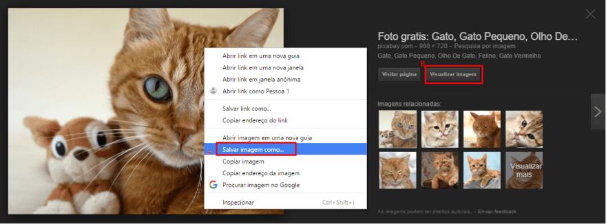 como-baixar-imagens-gratis-google2