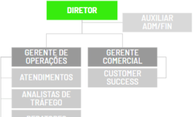 modelo-organograma-funcional-agencia-marketing-digital-performance