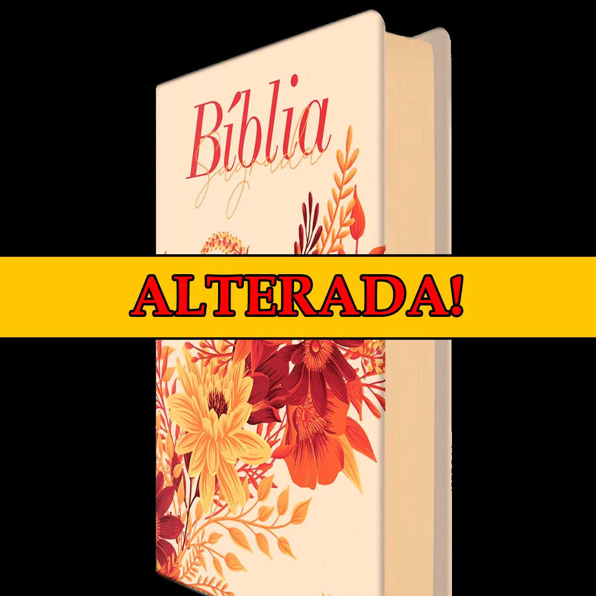 A Bíblia foi Alterada sobre Reencarnação Luisa Ambros