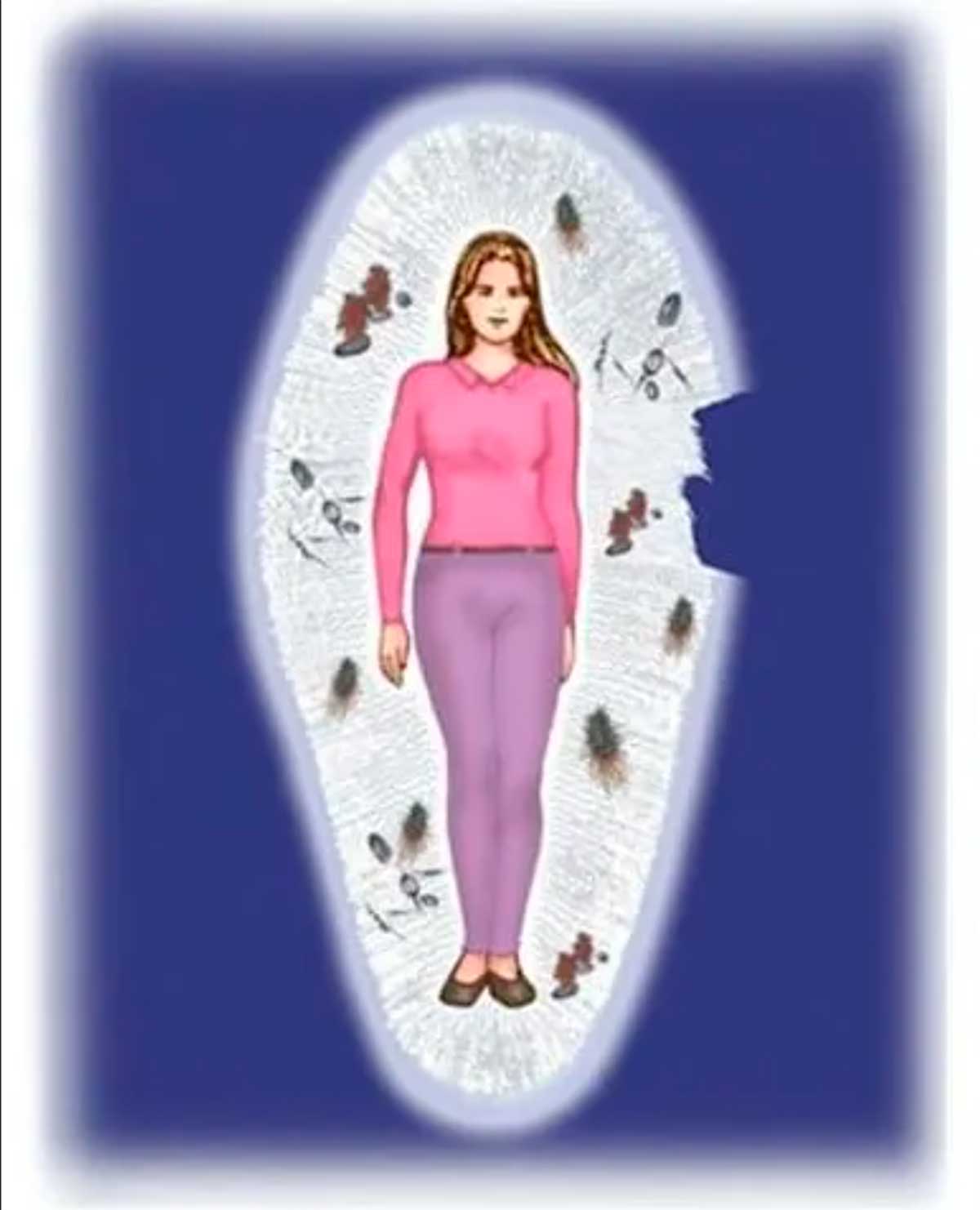 mppn o que &eacute;, significado